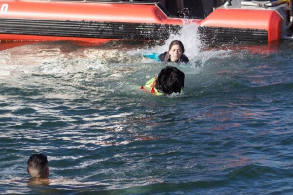 Water rescue dog visits Florida Coast Guard station for demonstration, water safety lesson